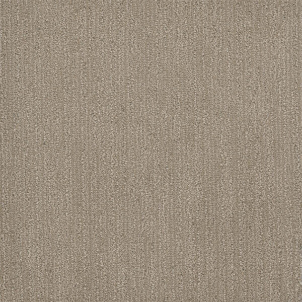 Dreamweaver Carpet Surfside Desert Flower Carpet 3228_2228