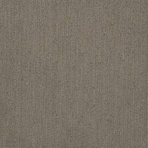 Dreamweaver Carpet Surfside Castleberry Carpet 3228_2332