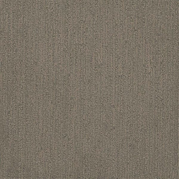 Dreamweaver Carpet Surfside Castleberry Carpet 3228_2332