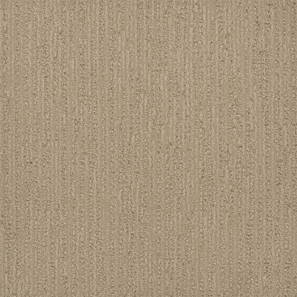 Dreamweaver Carpet Surfside Golden Glade Carpet 3228_2377