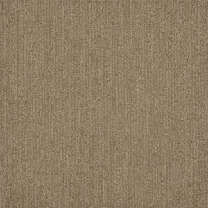Dreamweaver Carpet Surfside Tanglewood Carpet 3228_5069