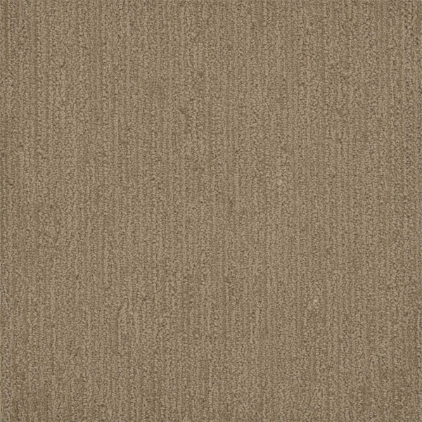 Dreamweaver Carpet Surfside Tanglewood Carpet 3228_5069