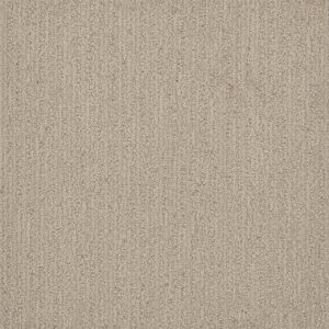 Dreamweaver Carpet Surfside Blizzard Blast Carpet 3228_5110