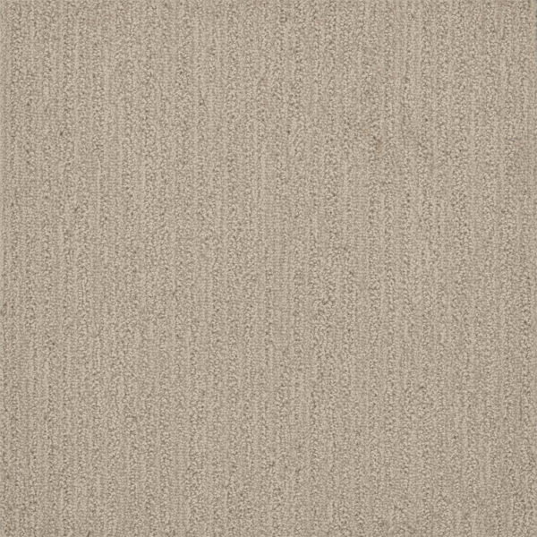 Dreamweaver Carpet Surfside Blizzard Blast Carpet 3228_5110