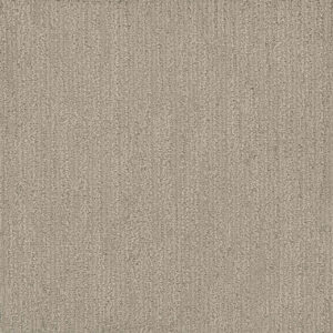 Dreamweaver Carpet Surfside Snow Canyon Carpet 3228_5170