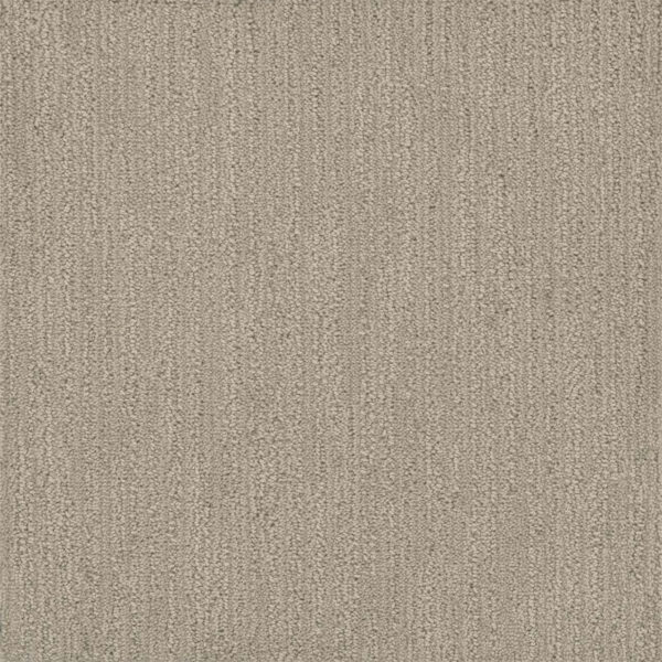 Dreamweaver Carpet Surfside Snow Canyon Carpet 3228_5170