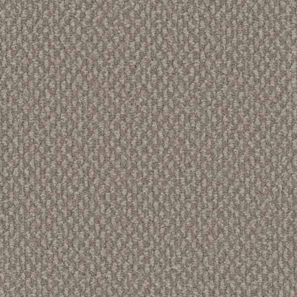 Dreamweaver Carpet Galactic Pebble Hill Carpet 3230_2081