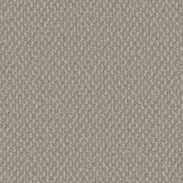 Dreamweaver Carpet Galactic Ivory Coast Carpet 3230_2143