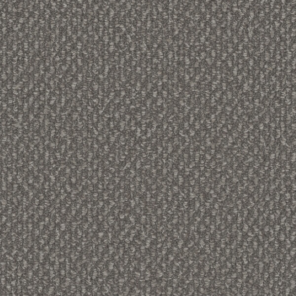 Dreamweaver Carpet Galactic Panther Carpet 3230_2238