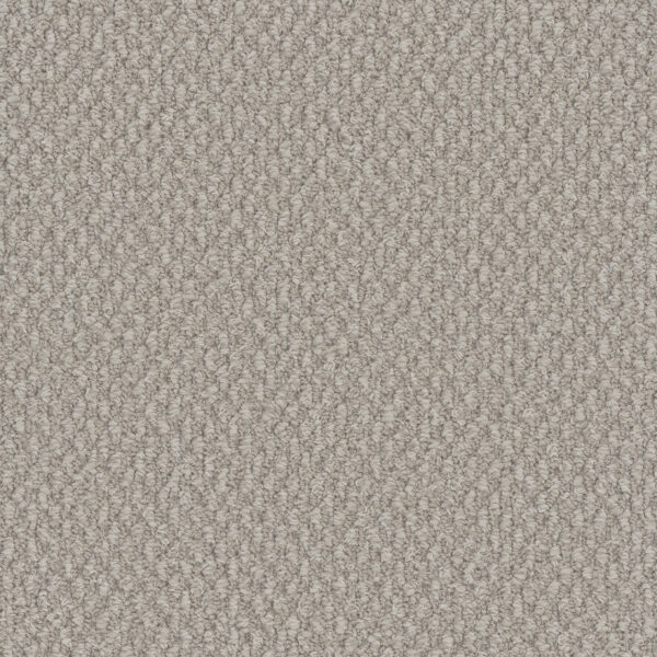 Dreamweaver Carpet Galactic Bleached Wheat Carpet 3230_2279
