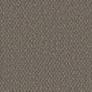Dreamweaver Carpet Galactic Molasses Carpet 3230_2317