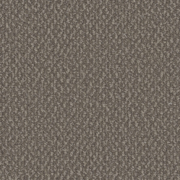 Dreamweaver Carpet Galactic Molasses Carpet 3230_2317
