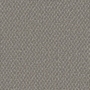 Dreamweaver Carpet Galactic Cactus Carpet 3230_2328