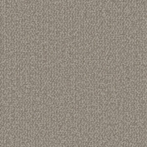 Dreamweaver Carpet Interstellar Pebble Hill Carpet 3236_2081
