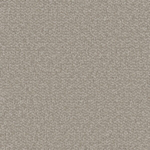 Dreamweaver Carpet Interstellar Ivory Coast Carpet 3236_2143
