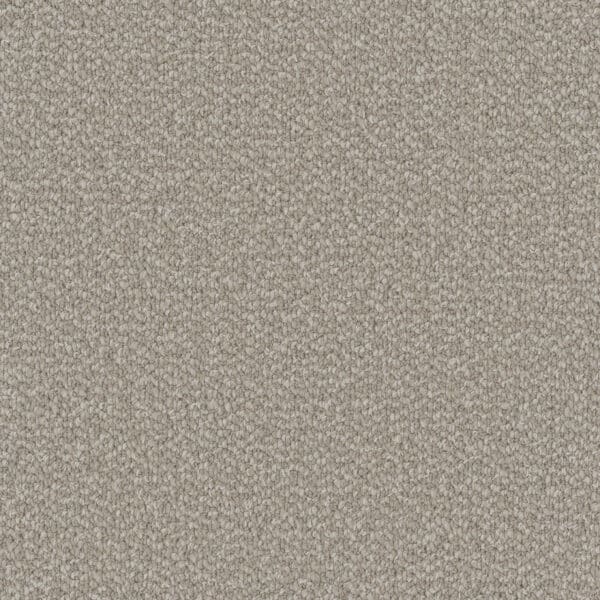 Dreamweaver Carpet Interstellar Ivory Coast Carpet 3236_2143