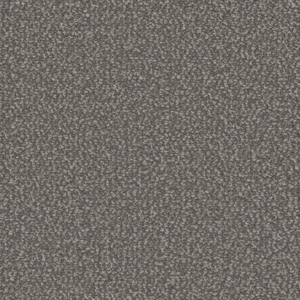 Dreamweaver Carpet Interstellar Panther Carpet 3236_2238