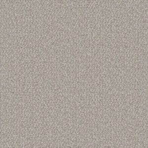 Dreamweaver Carpet Interstellar Bleached Wheat Carpet 3236_2279