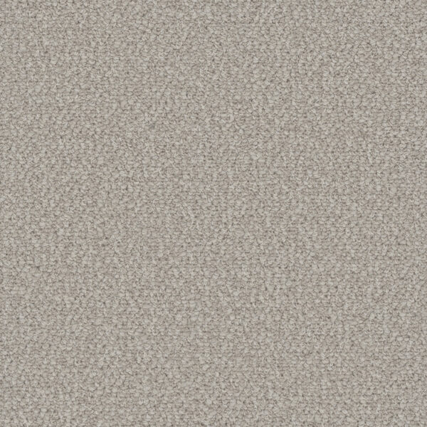 Dreamweaver Carpet Interstellar Bleached Wheat Carpet 3236_2279