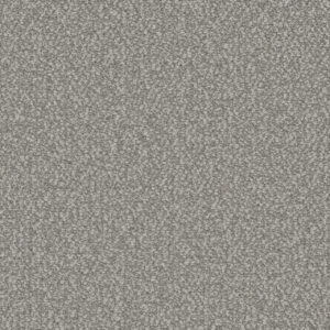 Dreamweaver Carpet Interstellar Pearl Glacier Carpet 3236_2365