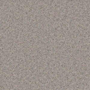 Dreamweaver Carpet Natural Wonder I Aruba Breeze Carpet 3345_109