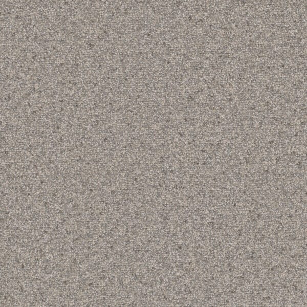 Dreamweaver Carpet Natural Wonder I Aruba Breeze Carpet 3345_109