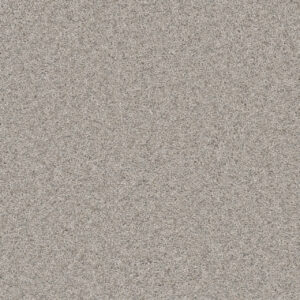 Dreamweaver Carpet Natural Wonder I Ice Fog Carpet 3345_141