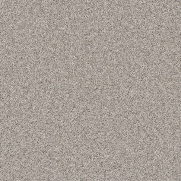 Dreamweaver Carpet Natural Wonder I Ice Fog Carpet 3345_141