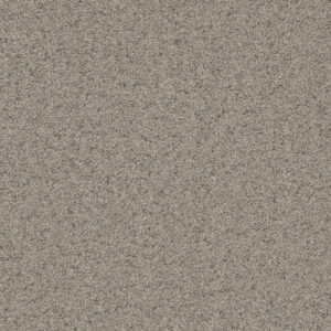 Dreamweaver Carpet Natural Wonder I Silken Carpet 3345_297
