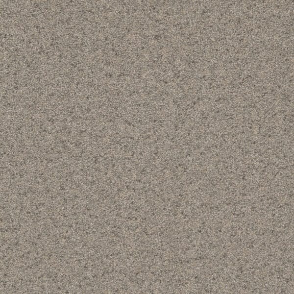 Dreamweaver Carpet Natural Wonder I Silken Carpet 3345_297