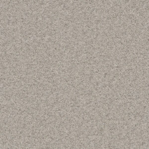 Dreamweaver Carpet Natural Wonder I Out of Sight Carpet 3345_436