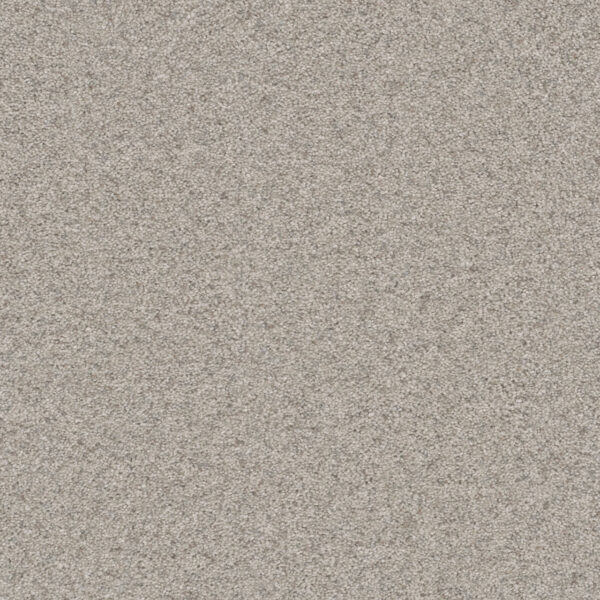 Dreamweaver Carpet Natural Wonder II Out of Sight Carpet 3355_436