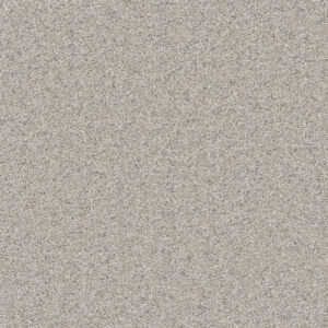 Dreamweaver Carpet Natural Wonder I Ivory Mist Carpet 3345_460