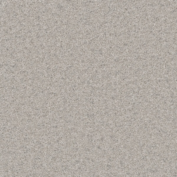 Dreamweaver Carpet Natural Wonder I Ivory Mist Carpet 3345_460