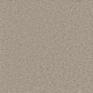 Dreamweaver Carpet Natural Wonder I Spirit Carpet 3345_527