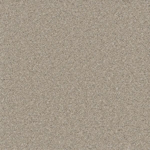 Dreamweaver Carpet Natural Wonder II Spirit Carpet 3355_527