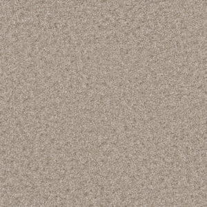 Dreamweaver Carpet Natural Wonder I Swiss Coffee Carpet 3345_538