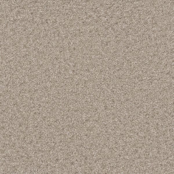 Dreamweaver Carpet Natural Wonder I Swiss Coffee Carpet 3345_538