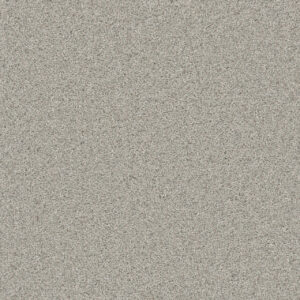 Dreamweaver Carpet Natural Wonder I Playful Carpet 3345_553