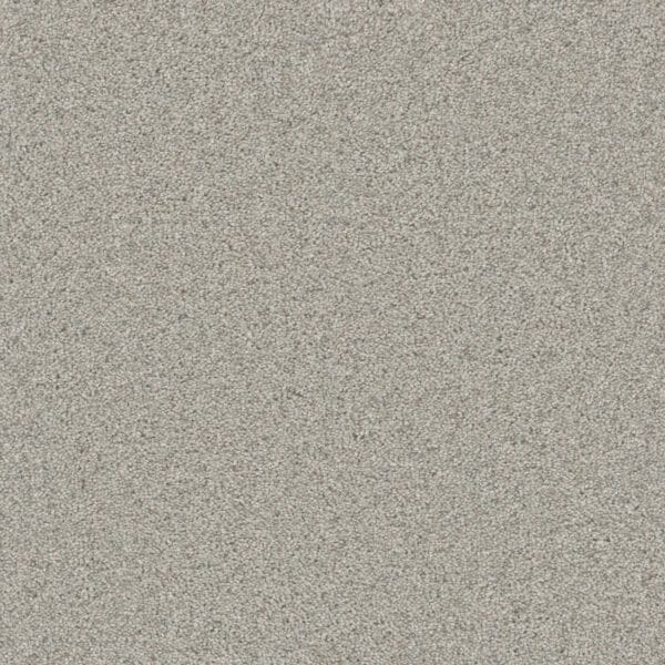 Dreamweaver Carpet Natural Wonder II Playful Carpet 3355_553