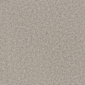 Dreamweaver Carpet Natural Wonder I Precious Carpet 3345_667