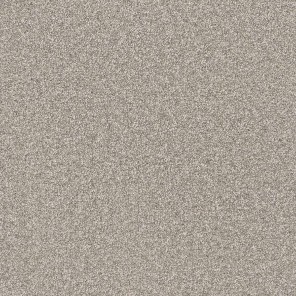 Dreamweaver Carpet Natural Wonder I Precious Carpet 3345_667
