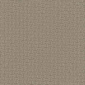 Dreamweaver Carpet Grand Isle Almond Bark Carpet 3428_2025