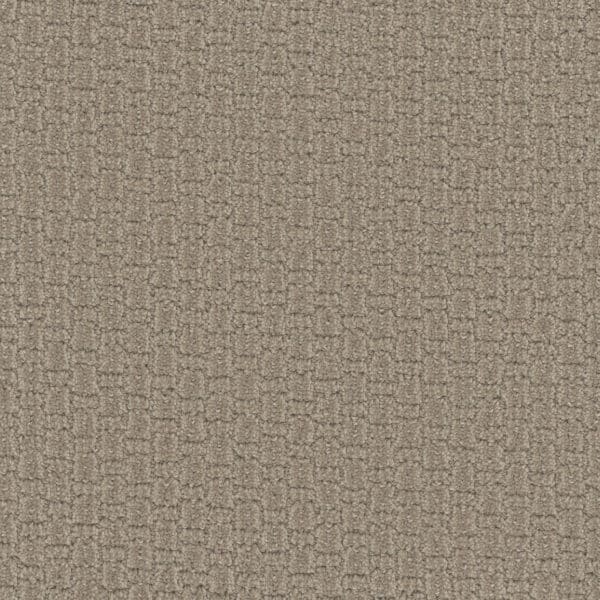 Dreamweaver Carpet Grand Isle Almond Bark Carpet 3428_2025