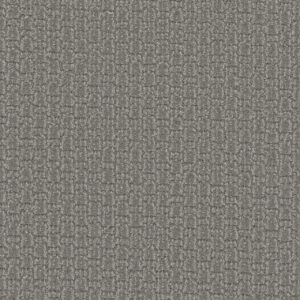 Dreamweaver Carpet Grand Isle Morning Star Carpet 3428_2054