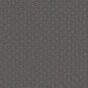Dreamweaver Carpet Grand Isle Stonehaven Carpet 3428_2142