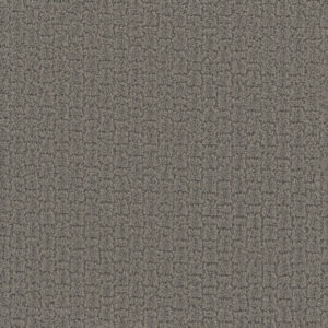 Dreamweaver Carpet Grand Isle Castleberry Carpet 3428_2332