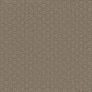 Dreamweaver Carpet Grand Isle Tanglewood Carpet 3428_5069