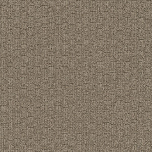 Dreamweaver Carpet Grand Isle Tanglewood Carpet 3428_5069