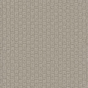 Dreamweaver Carpet Grand Isle Blizzard Blast Carpet 3428_5110